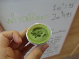 wheatgrass-15