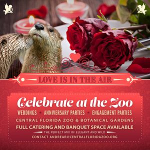 Valentines at the zoo 2017